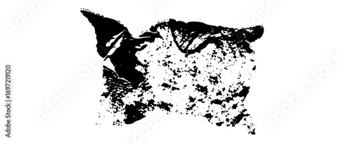 Vector Abstract feline form created with scattered ink splatters.