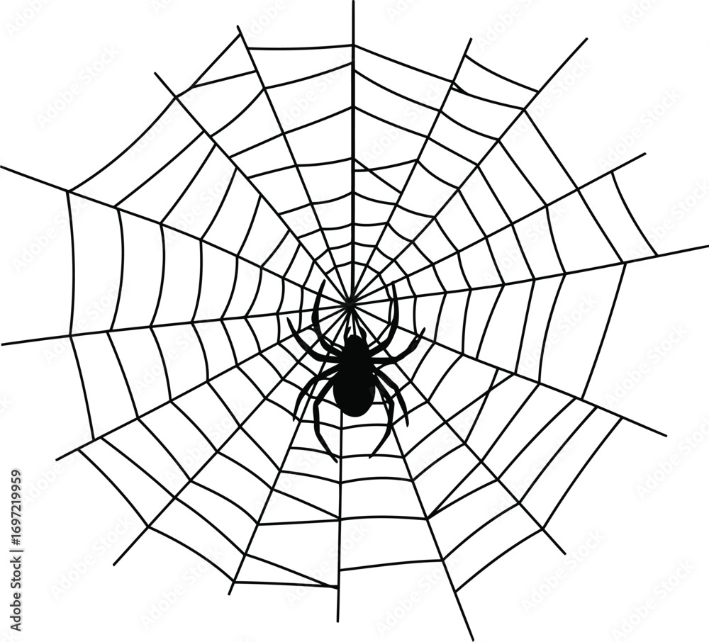 Obraz premium Spiderweb silhouette with hanging spider centered in solid black on white background