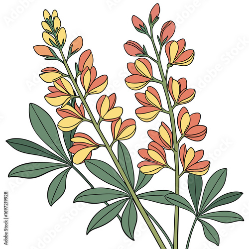 seamless pattern with baptisia solar flare