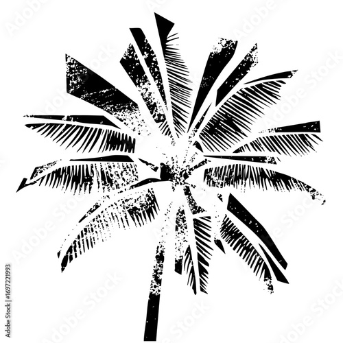 Vector Stylized palm frond with distressed texture.