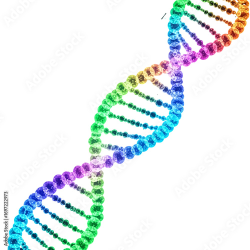 Colorful DNA double helix structure on a white background, symbolizing genetics and research