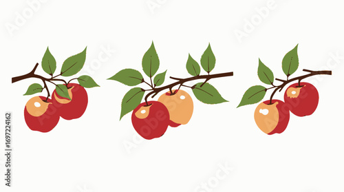 A vector illustration presents a trio of apple branch clusters, each bearing ripe fruit and verdant leaves, perfect for seasonal designs and healthy food concepts.