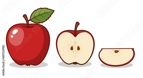 A vibrant vector illustration showcases a whole, halved, and sliced red apple, perfect for educational materials or food-related designs with a clean, modern aesthetic.