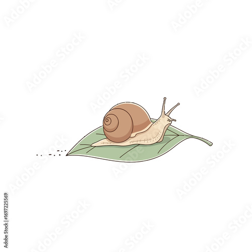 A close-up of a snail resting on a green leaf, showcasing its intricate shell and natural habitat