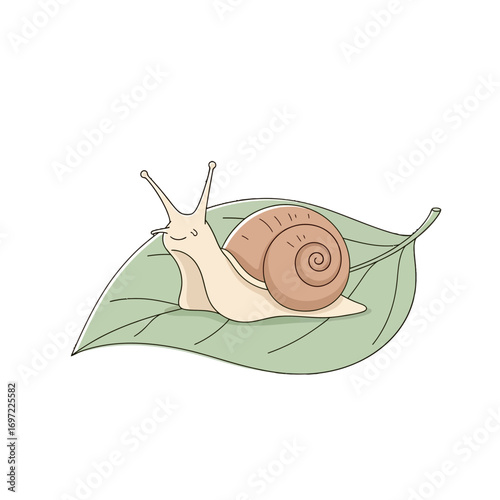 A cheerful snail resting on a green leaf, showcasing nature's beauty and tranquility