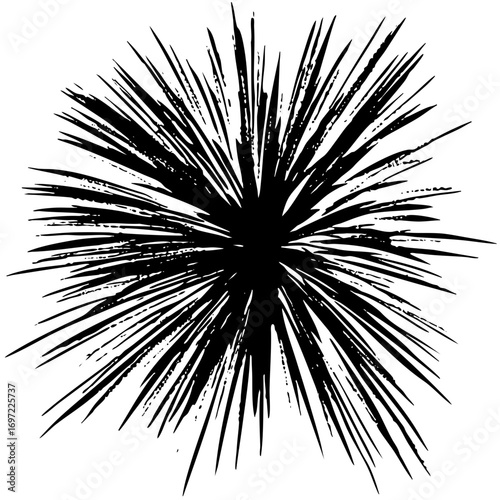 Vector Dynamic radial burst with sharp spiky elements.
