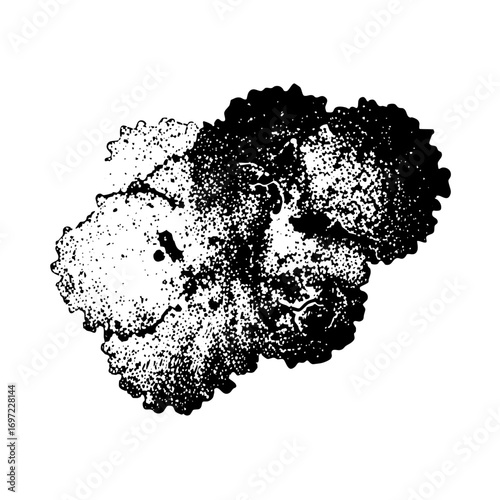 Vector Abstract portrait of a face split into contrasting halftone .