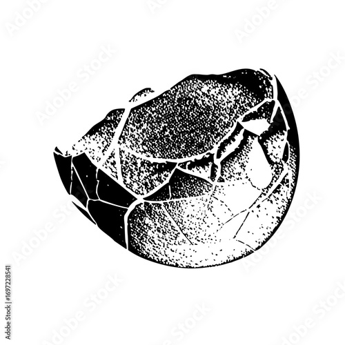 Vector Fragmented citrus fruit depicts a broken rind.