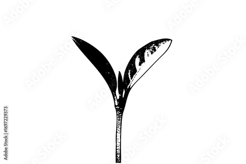Vector Elegant sprout features a single upward-reaching leaf.