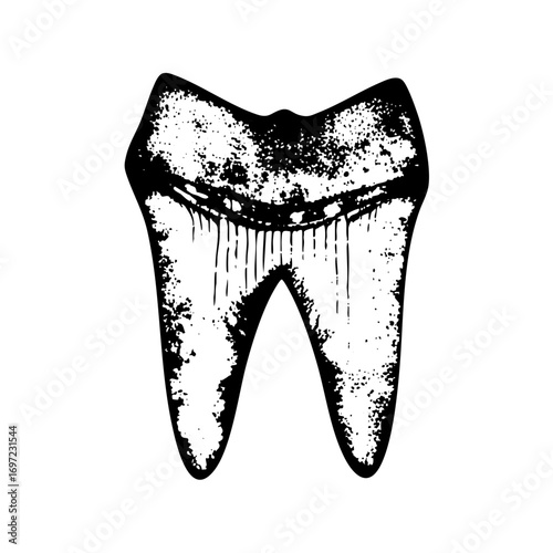 Vector Detailed black and white of a human tooth.