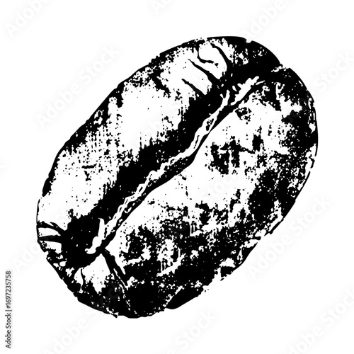 Vector Detailed black and white of a coffee bean.