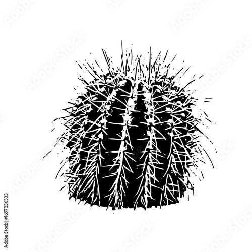 Vector Detailed prickly pear cactus with sharp spines.