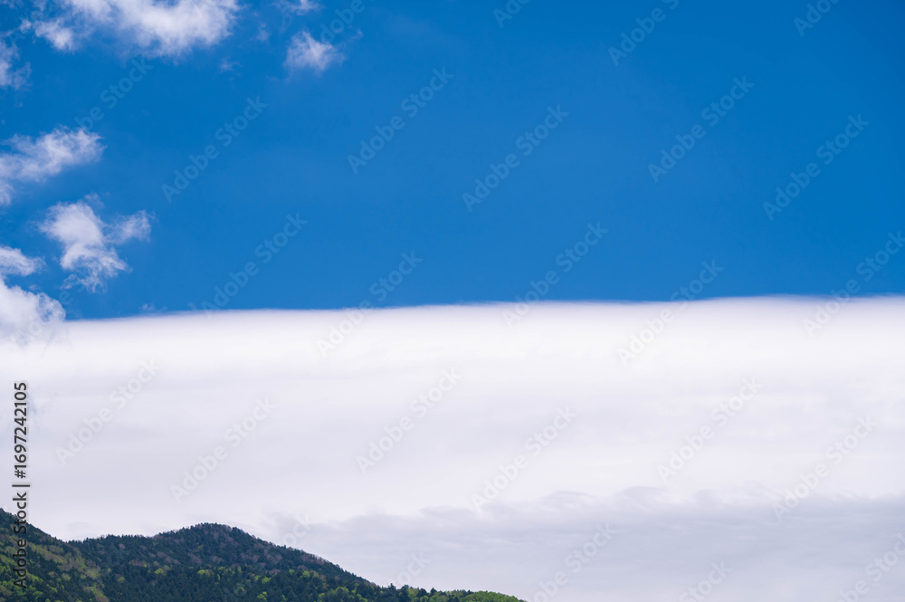 Obraz premium 夏空と新緑と大きな真っ白な雲