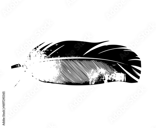 Vector Stylized feather with dynamic lines and shading.