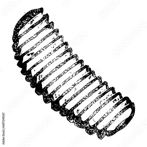 Vector Detailed of a helical screw with textured surfaces.