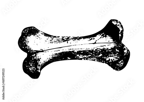 Vector Detailed monochrome bone with textured details.