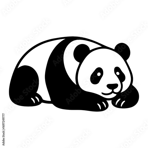Giant Panda Laying Down