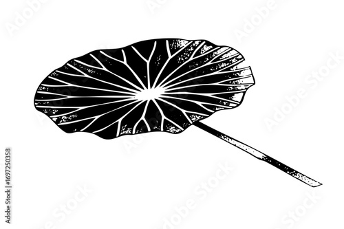 Vector Detailed of a single tropical leaf with prominent veins.