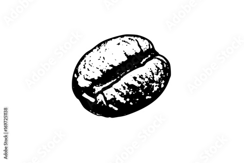 Vector Detailed of a single coffee bean.