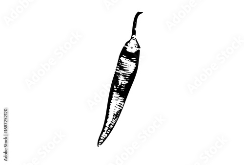 Vector Detailed black of a long chili pepper.