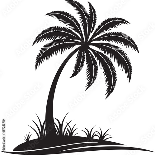 silhouette of palm trees