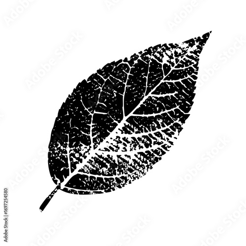 Vector Detailed black leaf showcases intricate vein .