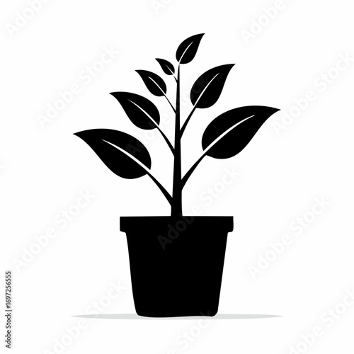 Nurture growth and prosperity with this symbolic potted plant representing new beginnings and success.
