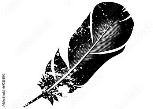 Vector Detailed black quill pen with textured feather .