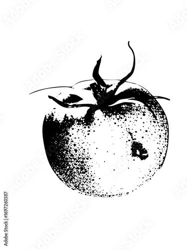 Vector Detailed vector of a speckled tomato with stem and leaves.
