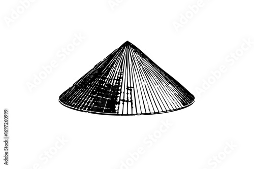 Vector Detailed conical Asian hat with linear texture.