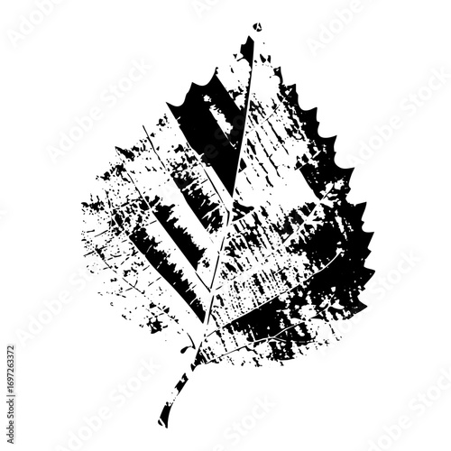 Vector Detailed black leaf with prominent veins.