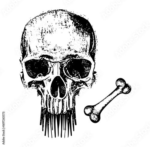 Vector Detailed skull and crossbones .