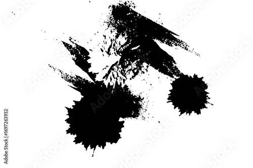 Vector Dynamic ink splashes create an abstract artistic expression.