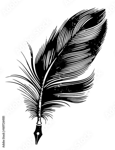 Vector Elegant quill pen with detailed feather .