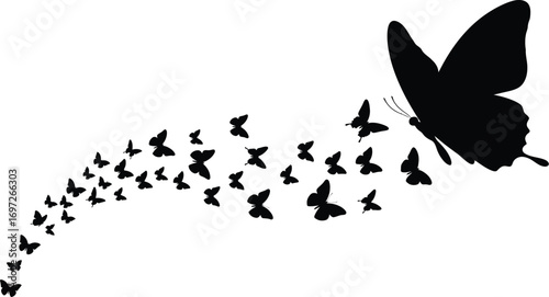 A large black butterfly leads a stream of smaller butterflies into the white expanse, symbolizing freedom and transformation.