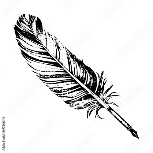 Vector Vintage quill pen with feather