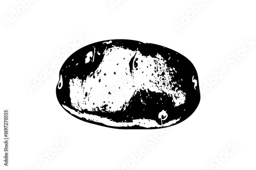 Vector Abstract black and white world map .