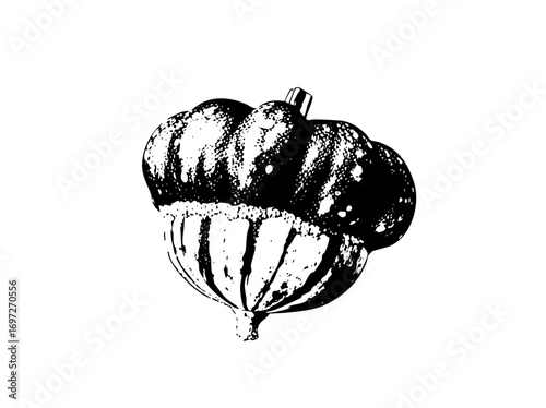 Vector Detailed of a textured acorn with a prominent cap.