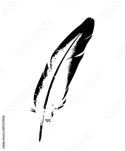 Vector Elegant black quill feather .