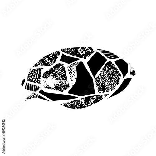 Vector Abstract tortoise with fragmented .