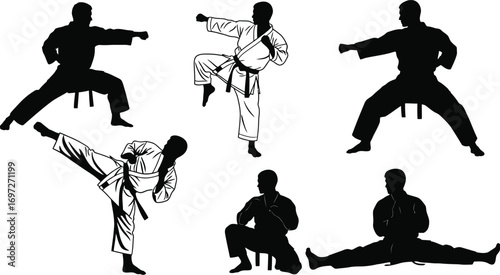Martial arts practitioners demonstrating dynamic combat stances and kicks in silhouette