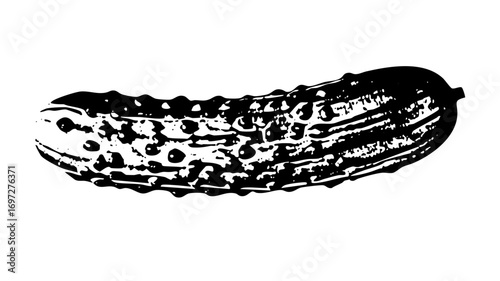 Vector Detailed black and white of a bumpy cucumber.