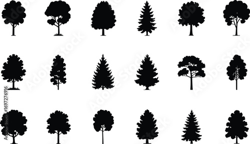Tree silhouettes, forest icons, nature vector, pine tree shapes, deciduous tree illustrations, woodland plants, tree outlines, evergreen symbols, tree line art, botanical designs