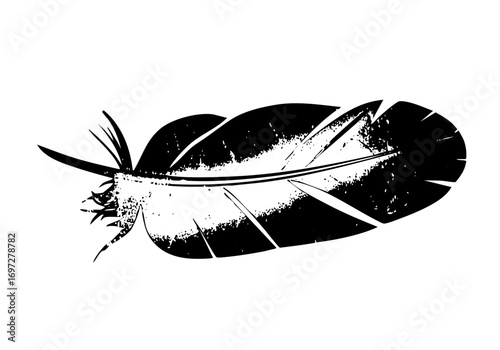 Vector Detailed black feather with quill and barbs.