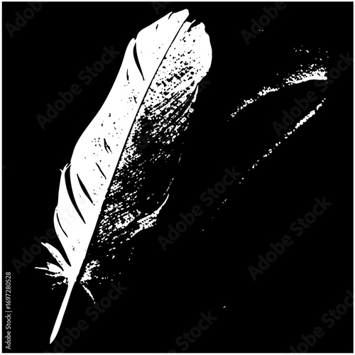 Vector Elegant feather with detailed texture and flowing lines.