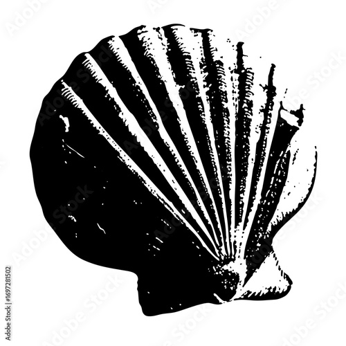 Vector Detailed black scallop showcases radial symmetry.