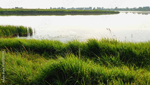 Beautiful lake with lush grass surroundings and clear water offering ideal background for text and visual design elements