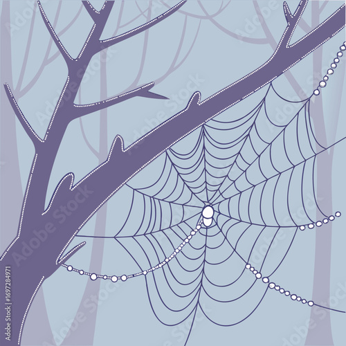 Abstract Morning Dew on Spider Web