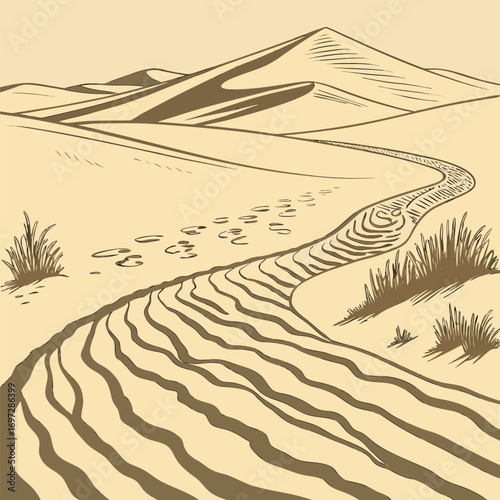 Geometric Sand Ripples in Desert Wind