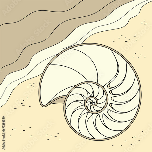 Geometric Spiral Shell on Sandy Shore